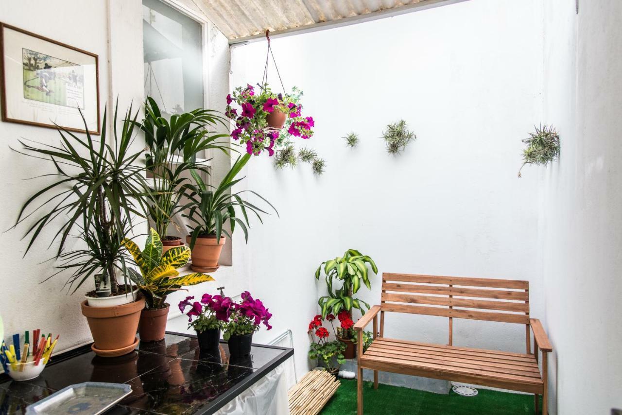 Cosy Flat In City Center Ponta Delgada المظهر الخارجي الصورة