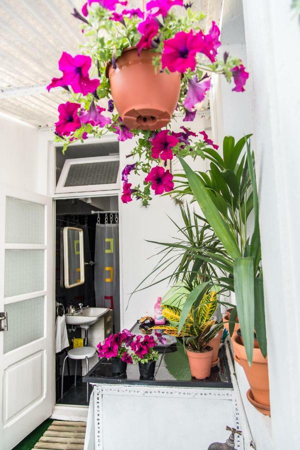 Cosy Flat In City Center Ponta Delgada المظهر الخارجي الصورة